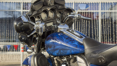 Викинг с сердцем барса -Harley Davidson