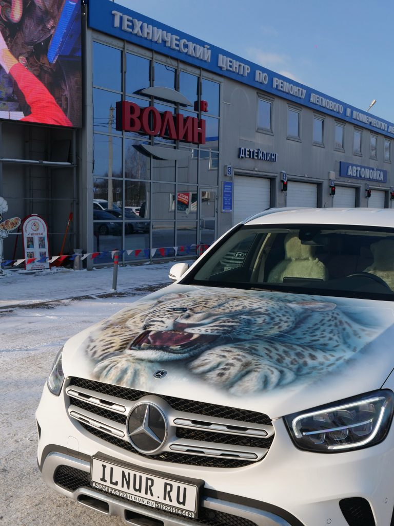 аэрография на капоте авто