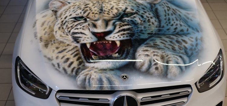 Аэрография на капоте Барс в Москве на Mercedes SLC