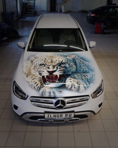 аэрография на капоте авто