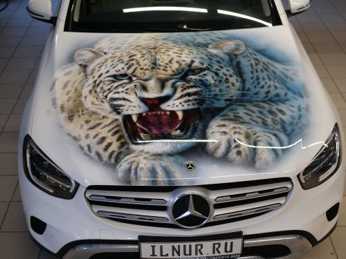 аэрография на капоте авто